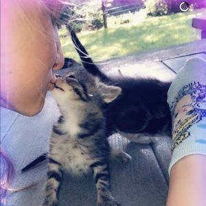 Meet your Posher, Ella